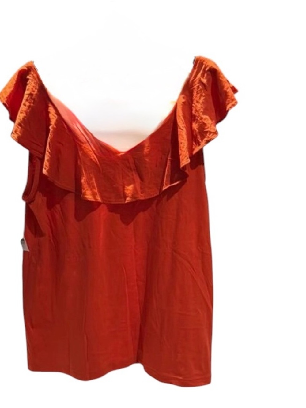 Ann Taylor Loft Burnt Orange Ruffle Women's Top